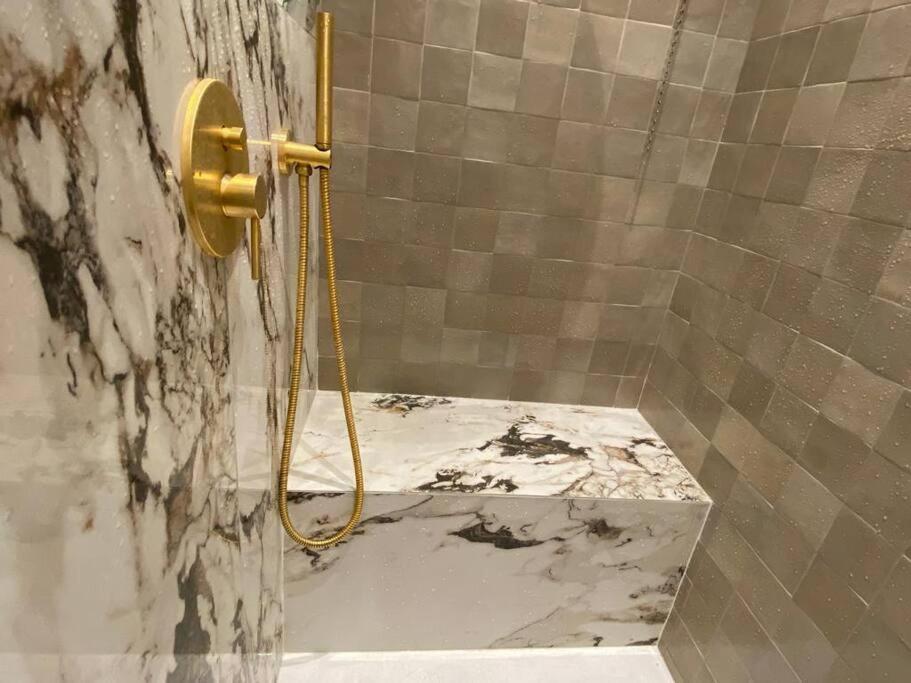 Le Petit Versailles - Appartement Centre Grenoble Eksteriør bilde